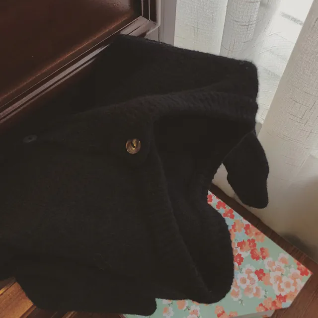 Raccoon Velvet Short Thickened Coat Cardigan Women's Design Sense Niche Small Wool Sweater Black - Shop at LoveMi