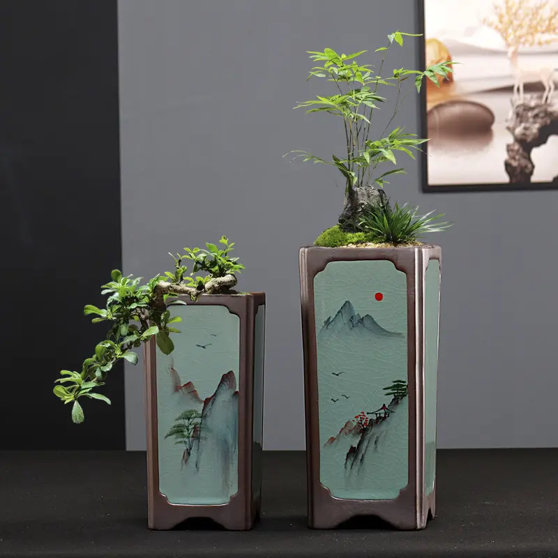 Square Purple Sand Asparagus Fern Orchid Flower