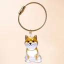 Puppy Shiba Inu