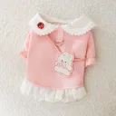 Pink Rabbit