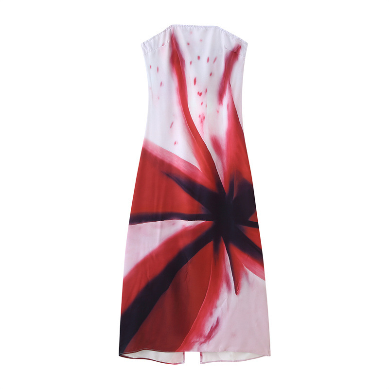 Printed Strapless Long Type Women's Dress