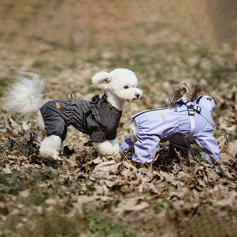 Fashion Personality Dog Pet One-piece Raincoat