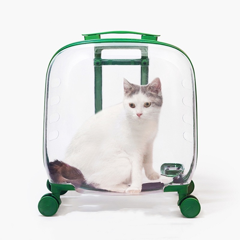 K20 Transparent Cat 13kg