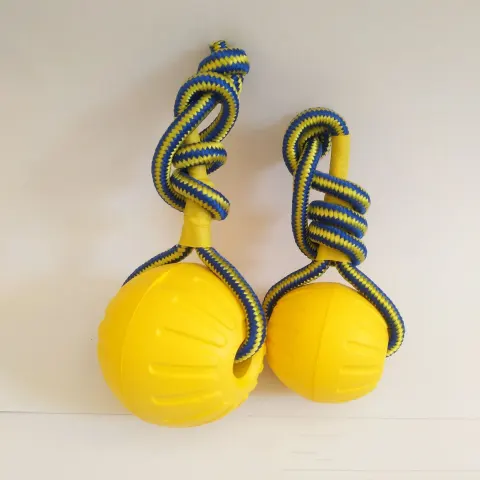 Puppy Toy Molar Baseball Training Ball Vent Bite Not