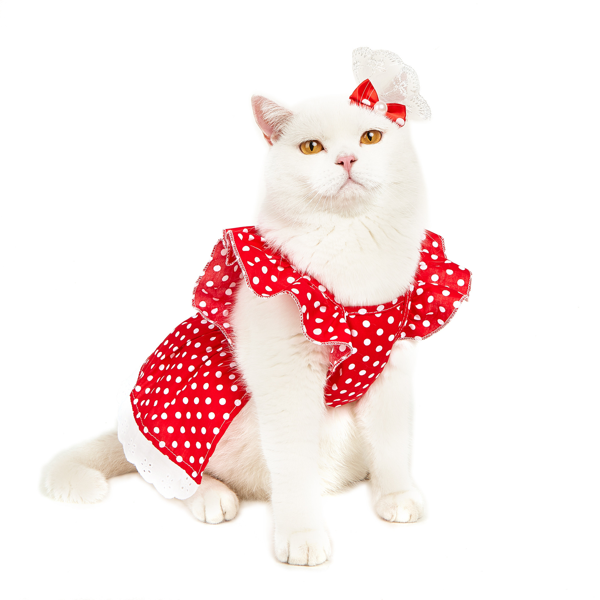 D Red And White Polka Dot