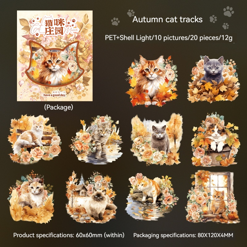 Autumn Cat Trace