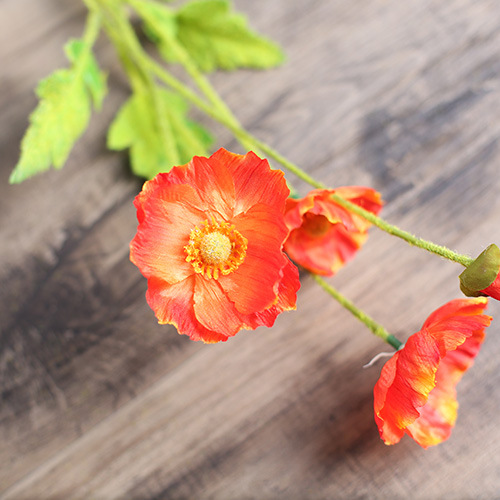 3 Flowers And 1 Bud Sunset