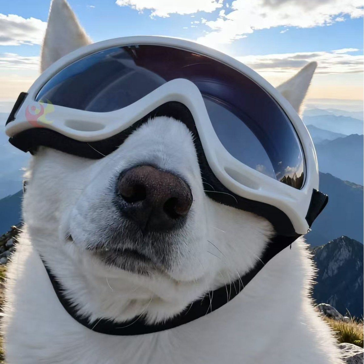Windproof Dog Goggles