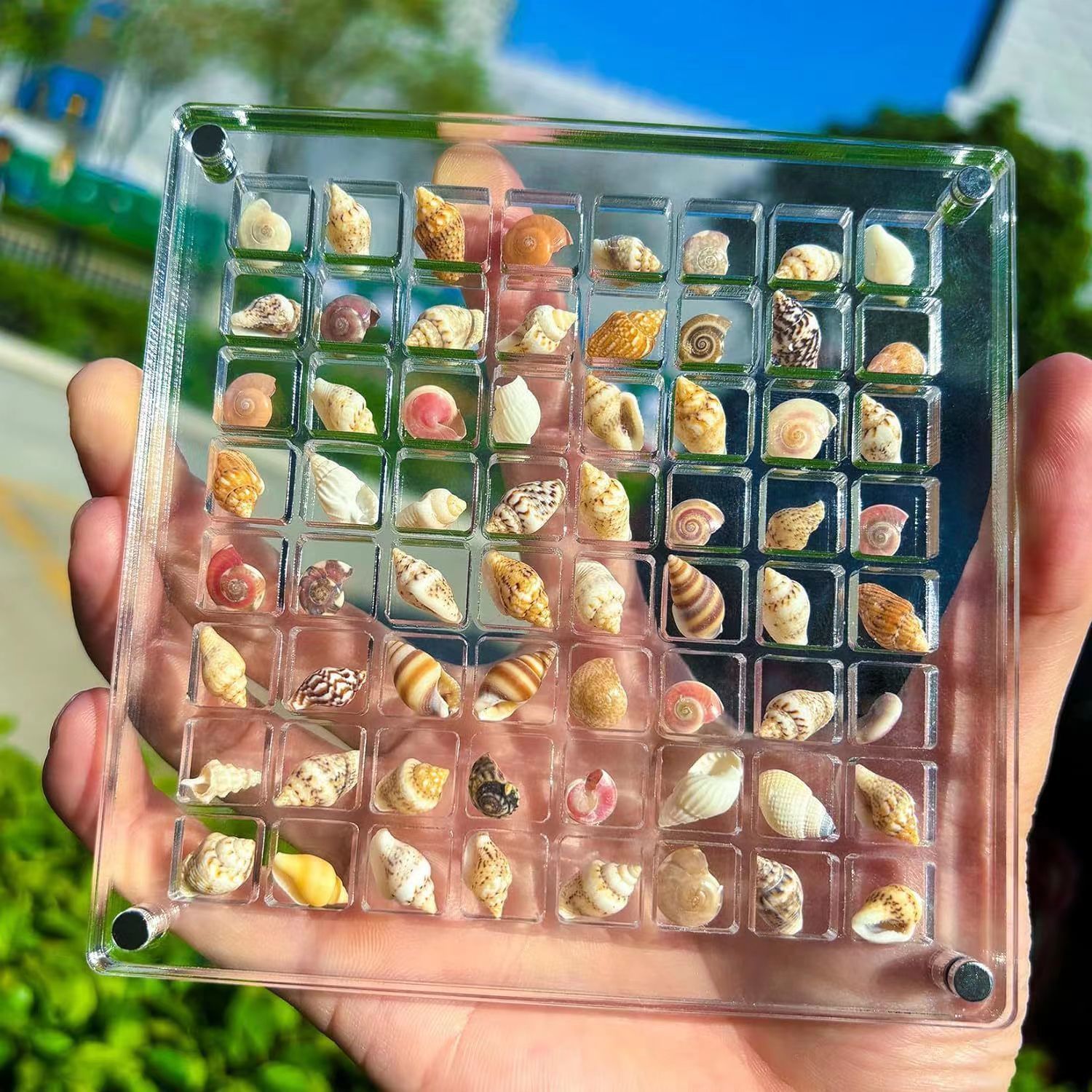 https://cf.cjdropshipping.com/quick/product/5fc4a5d6-d259-4321-9506-5a98f126faef.jpg