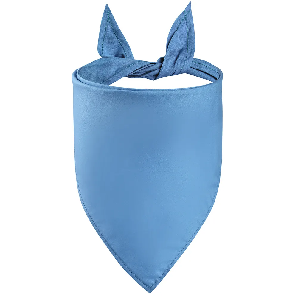 Pet Cotton Pinafore Triangular Binder - Blue