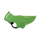 Evergreen Green