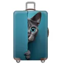 Peek At Small Blue Cat