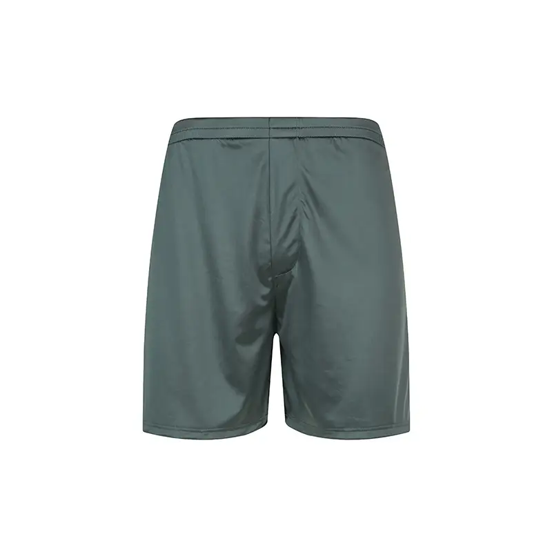 Men's Silk Boxer Briefs Mid-rise Casual