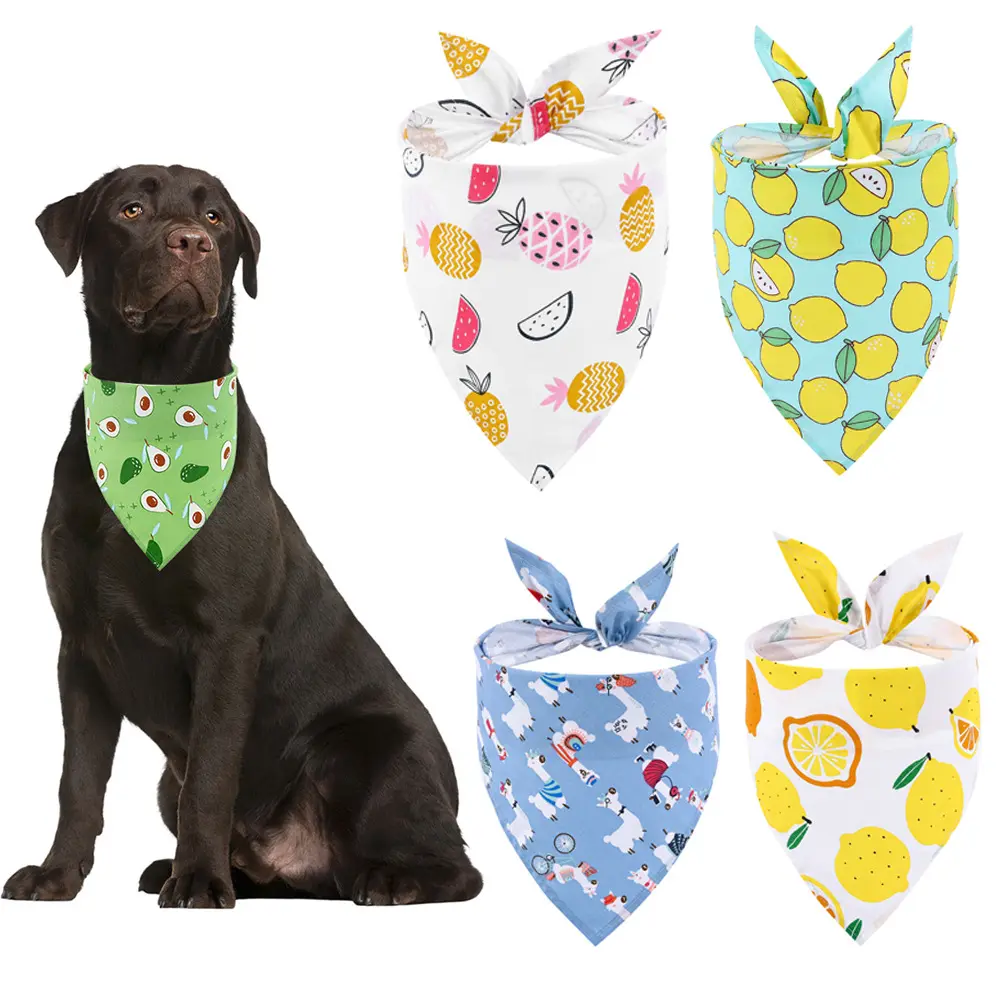 New Pet Triangle Summer Fruit Dog Saliva
