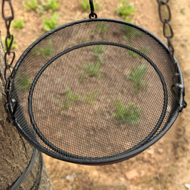 Hanging Bird Feeder Wrought Iron Round Tray