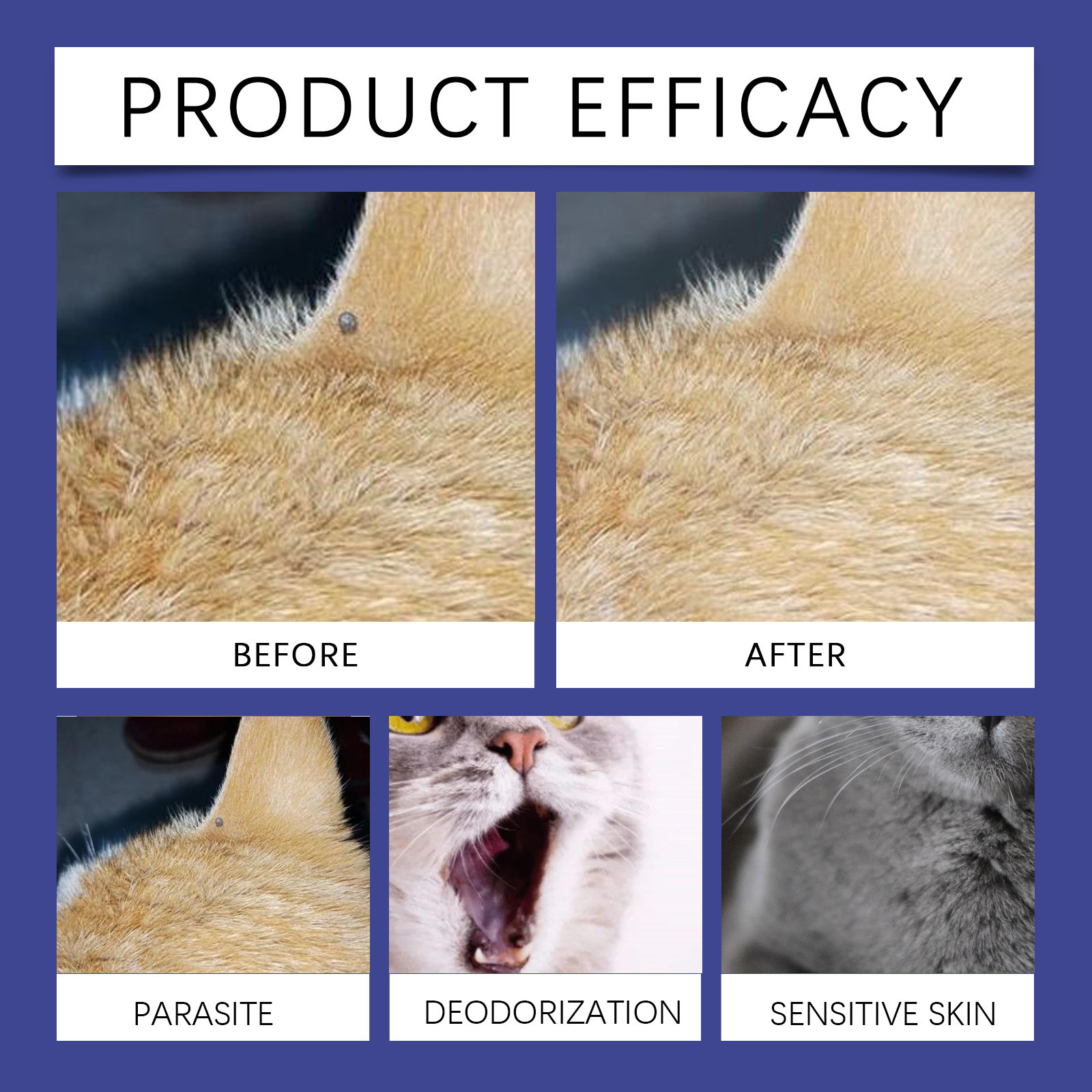 Flea And Odor Control Spray For Cats And Dogsbody Deodorizing Flea Repellent