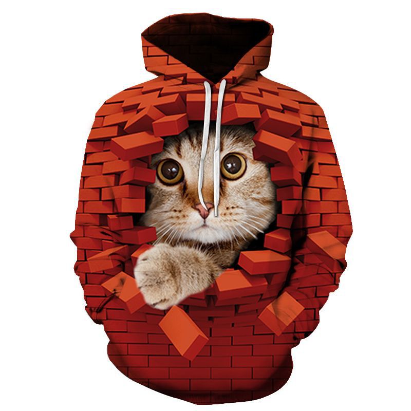 Couples Hoodie With 3D Digital Cat Print