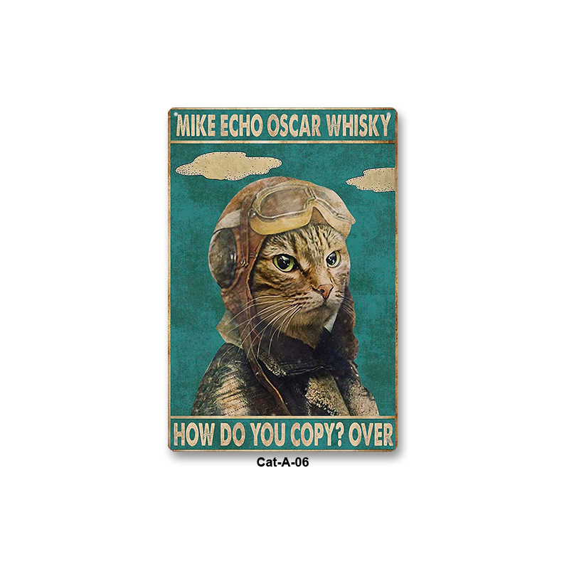 Cat06