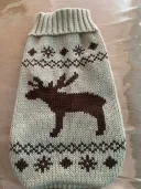 Gray Deer
