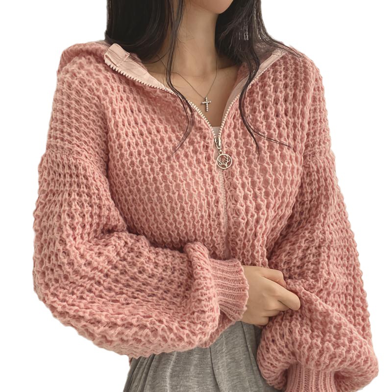 Hooded Cropped Sweater Coat Women's Design Thick Needle Lapel Loose Sweater