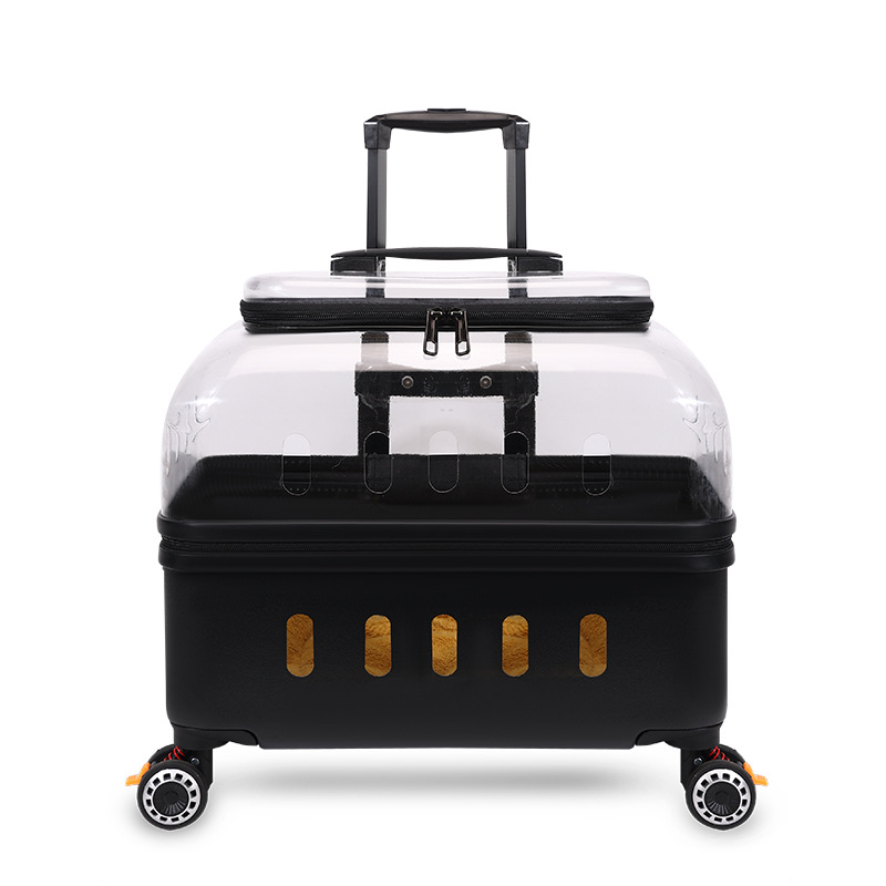 https://cf.cjdropshipping.com/quick/product/61ae0488-03a3-4e78-a9e6-137d3dd41c4a.jpg