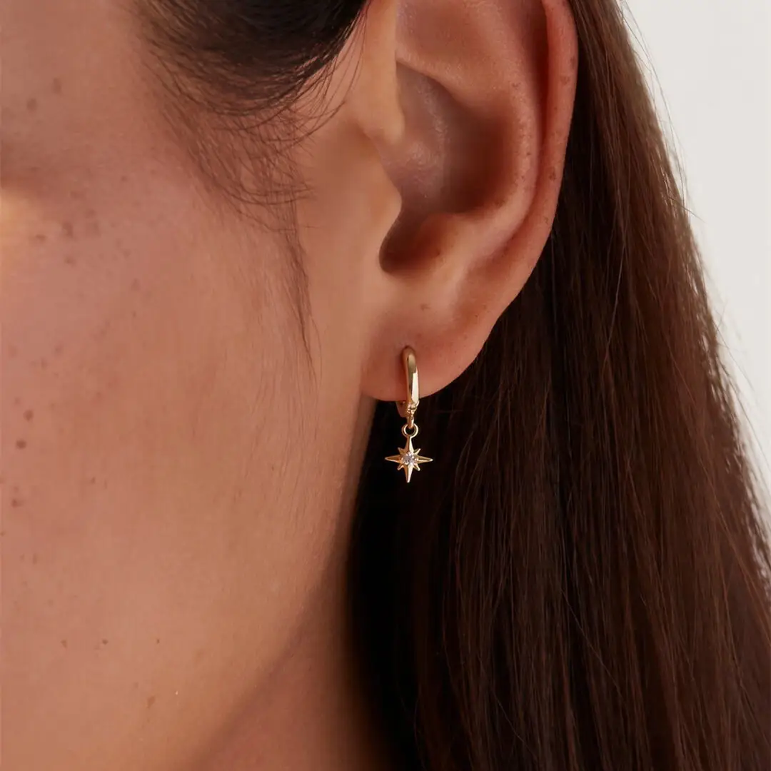 Eight Awn Star Element Earrings Simple Zircon