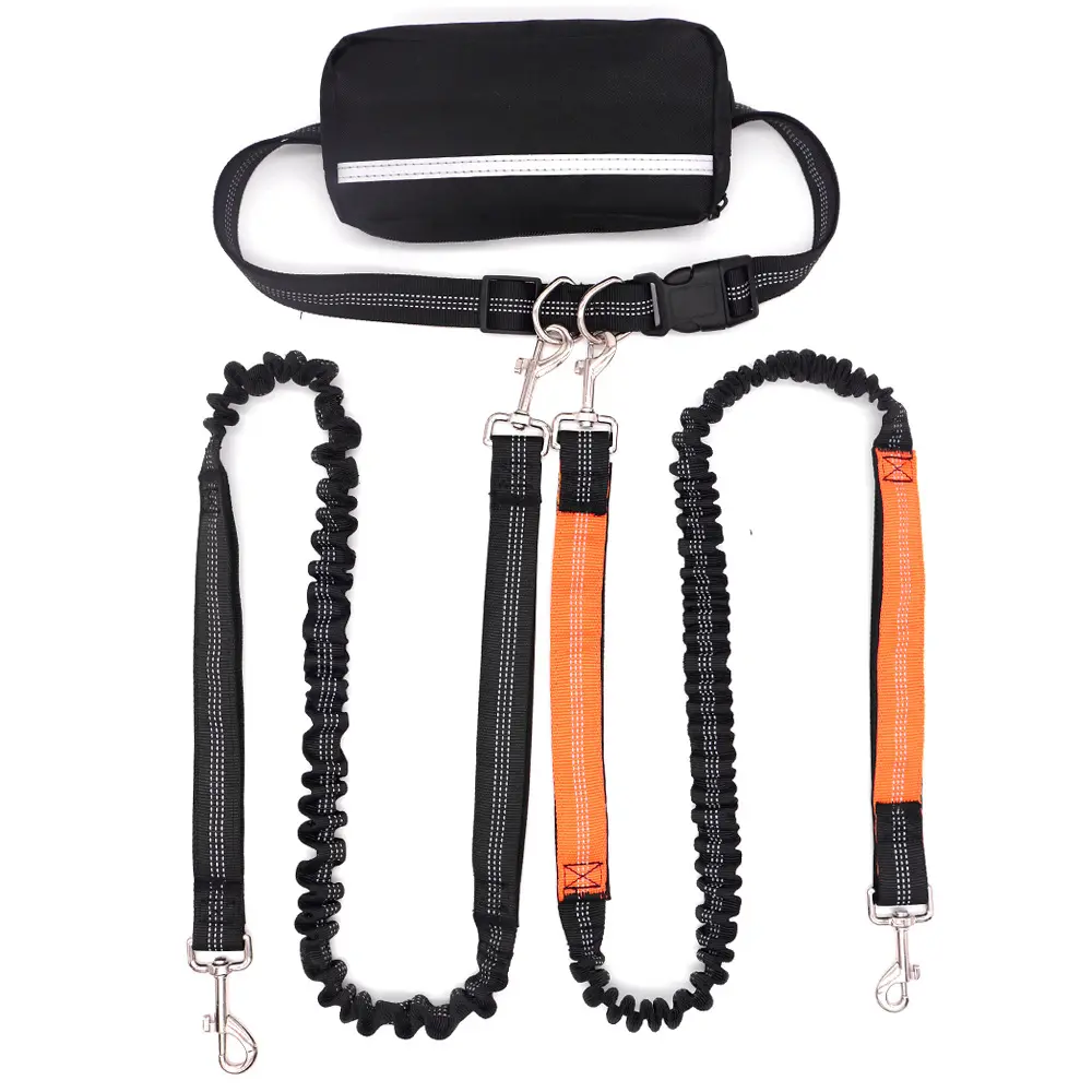 Doubl-headed LeashOne Leash For Two DogsRunning