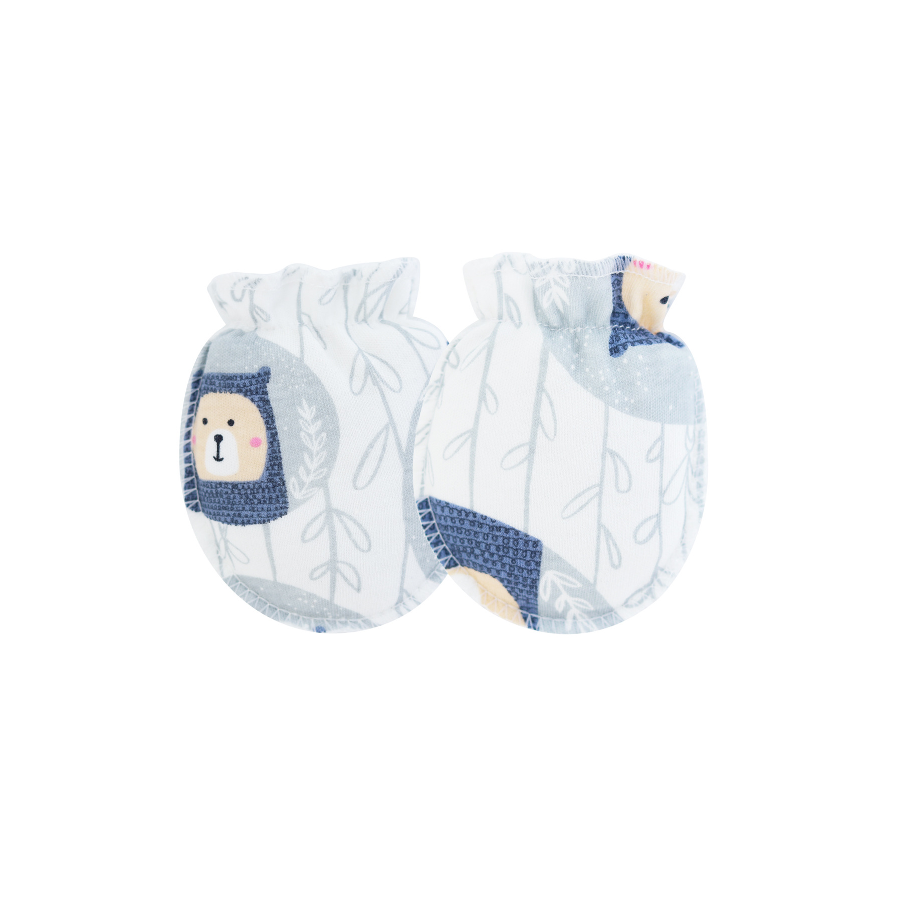 Dull Bear