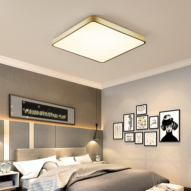 Modern Minimalist LED Ceiling Light For Home Use