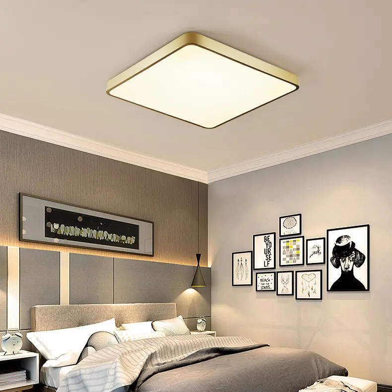 Modern Minimalist LED Ceiling Light