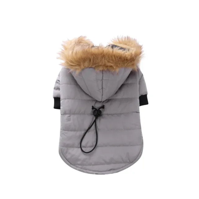 Popular Pet Clothes Winter Clothing Coat Dz173 Gray - Shop at LoveMi