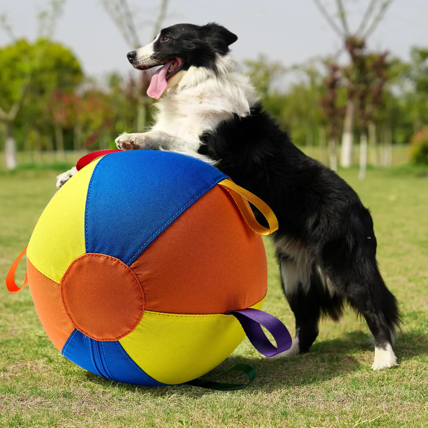 Complete Set Of Golden Retriever Chew-resistant Balls