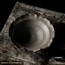 8.5Inch Peonybowl Blackgold