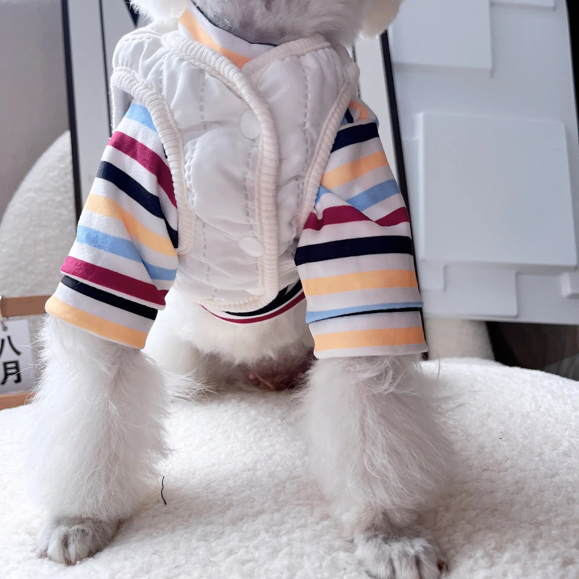 AutumnWinter Warm Dog Vest Two-Piece Set