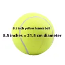 L Diameter 21.5Cm85