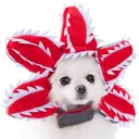 Cannibal Flower Head Cover