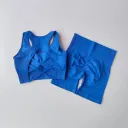 Blue Bra Shorts