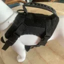 Black Chest Strap