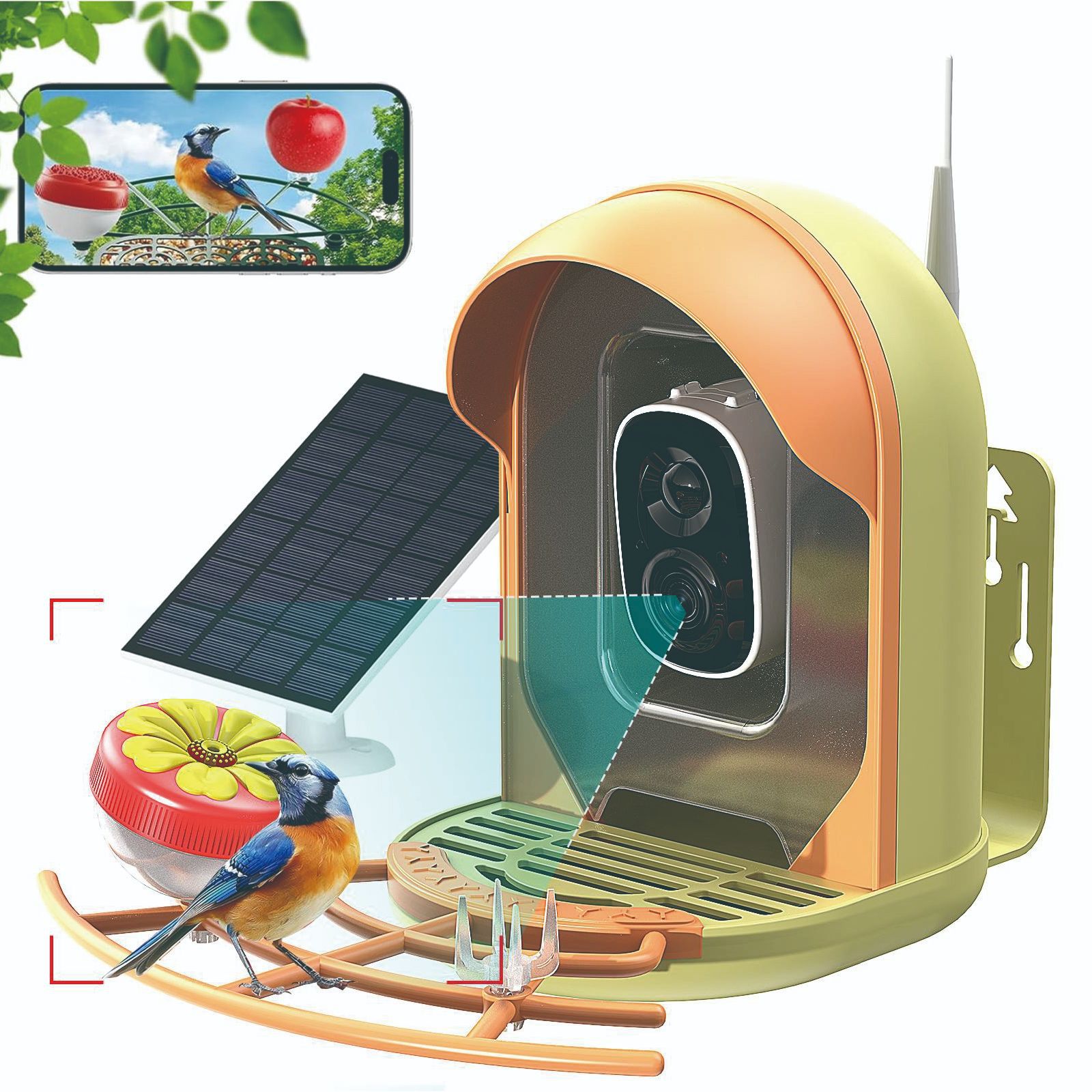 Smart Bird Feeder With AI-powered Camera Outdoor Solar Charging 6