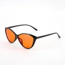 Black Frame Orange Slices