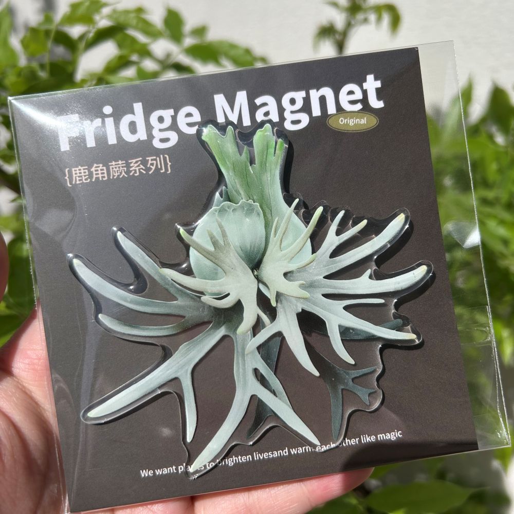 https://cf.cjdropshipping.com/quick/product/6687a6f8-d951-47f8-b7b1-99c63b1e4ad4.jpg