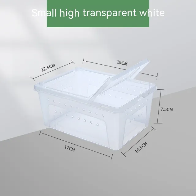 Silkworm Feeding Pet Box Turtle Jar Transparentsmall Size - Shop at LoveMi