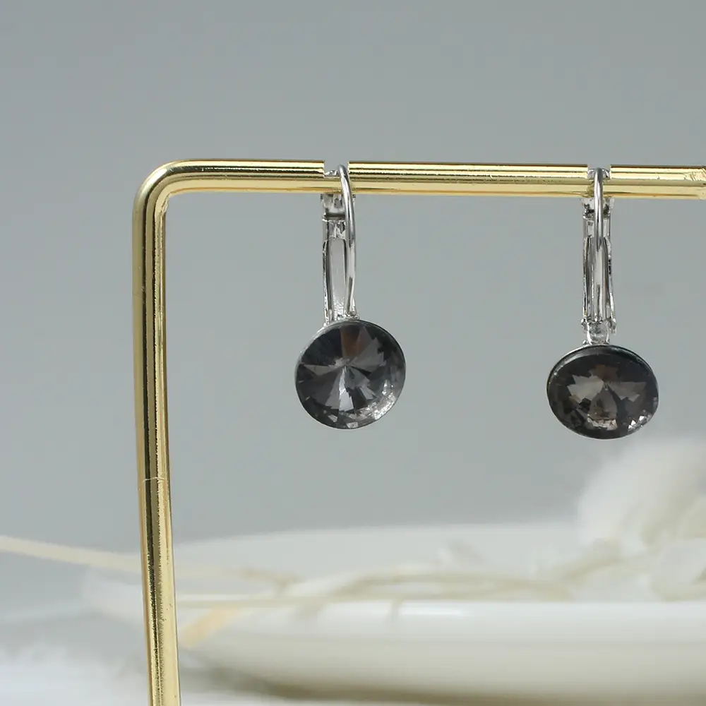 Satellite Stone Simple Temperament Geometric Earrings