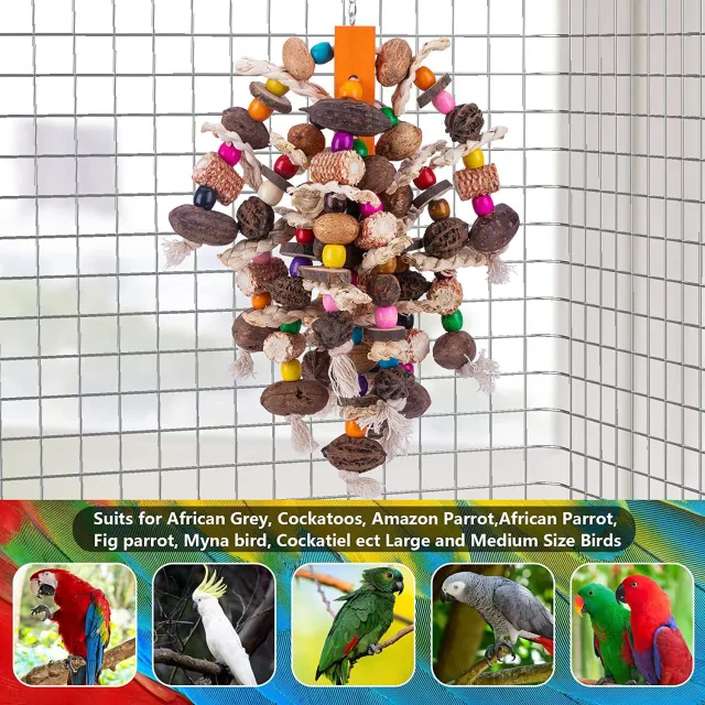 Large Parrots Nibbling On Toy Fruit Skewers - Shop at LoveMi