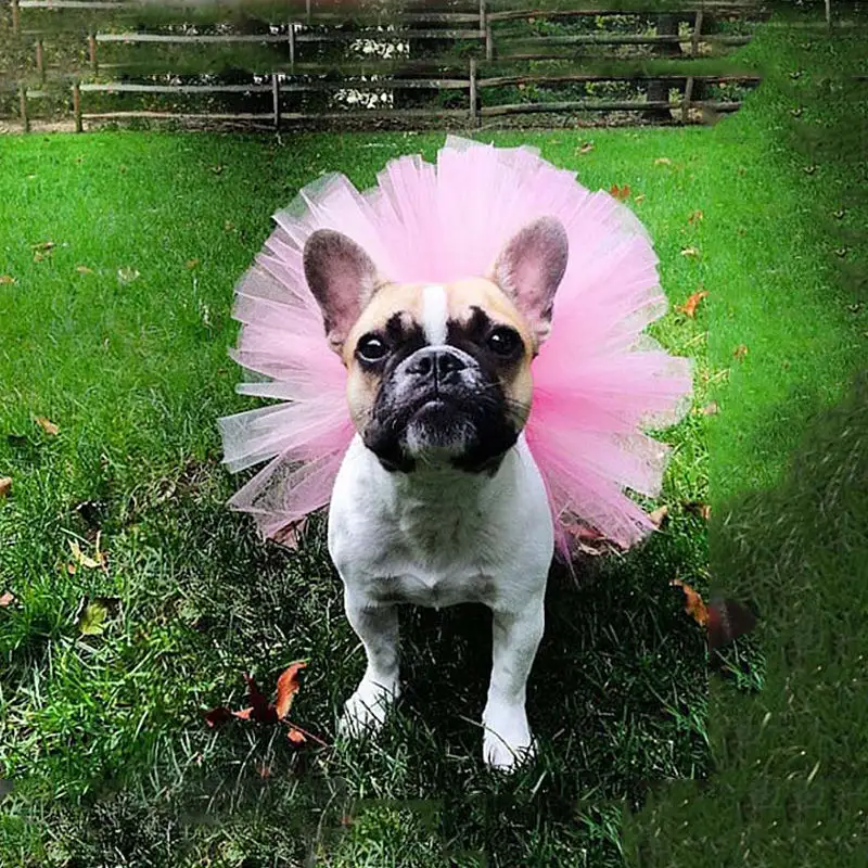 European And American-style Festive Pet Tulle Tutu