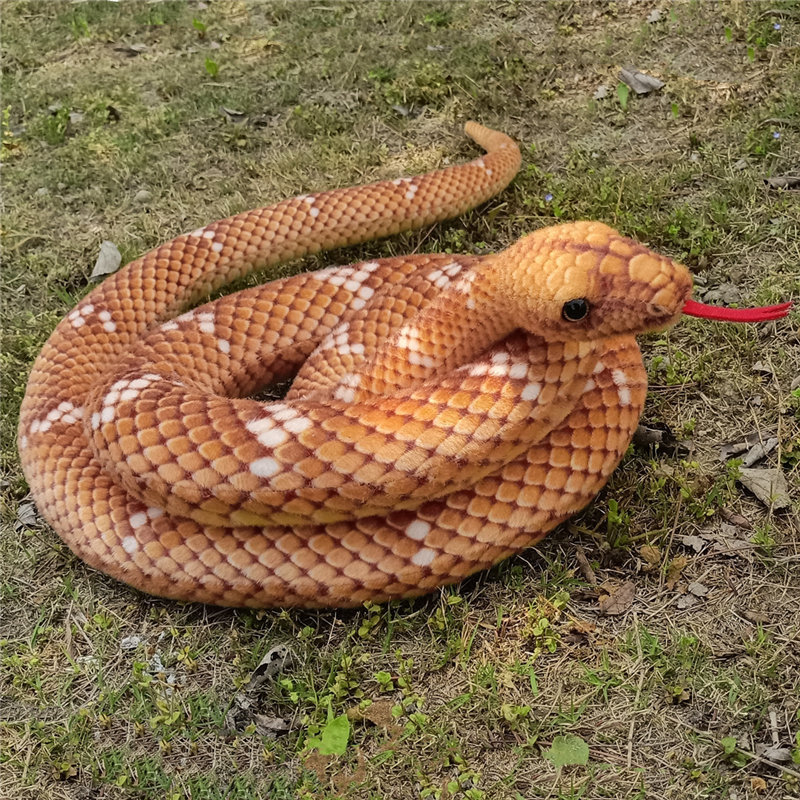 Brown Water Snake