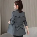 Smoky Gray