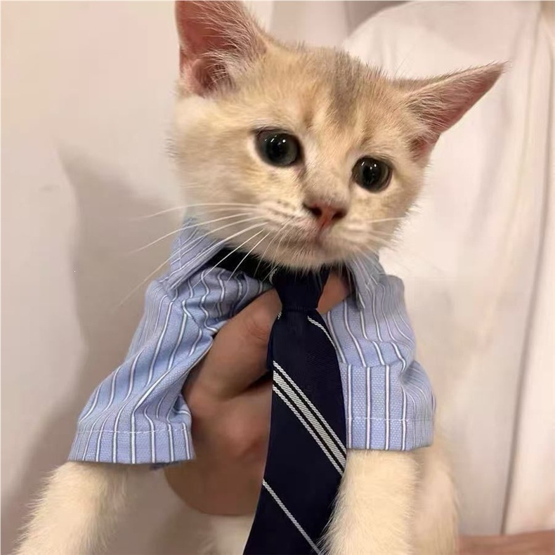 High-fashion Boyfriend Pet Cat Outfit detail photo 1