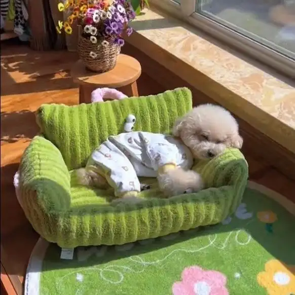 Creative And Cute Striped Pet Sofa Nest