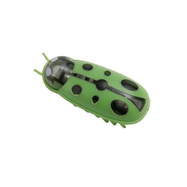 Electric Toothbrush Worm Miniature Nano Jumping Insects Cat Teaser Toy Pet Products Ladybug Style Green And Black - Shop at LoveMi